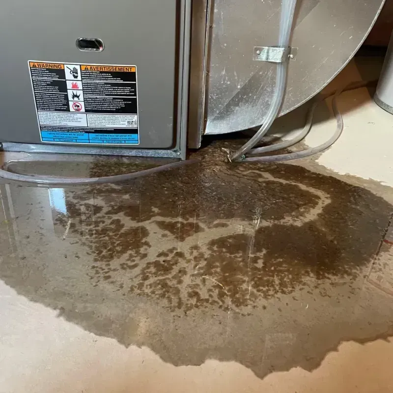 Appliance Leak Cleanup in The Dalles, OR